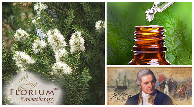 Usos y beneficios del aceite esencial de Tea Tree